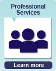 Professional Services
